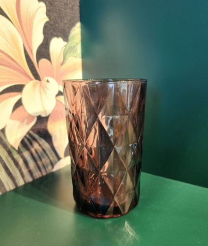 Copper Rose Glass Tumbler Set of 2